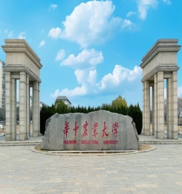works image