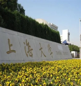 works image